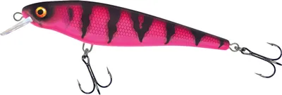 Produktbild von Matze Koch Hechtschrecke (Pink Tiger)