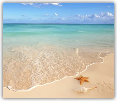 Produktbild von Tulup Glas Herdabdeckplatte Glaskeramikkochfeld-Abdeckung Spritzschutz Glasabdeckplatte Kochplattenabdeckung und Schneidebrett - Einteilig - 60x52 cm Seestern am Strand