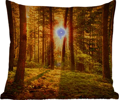 Produktbild von MuchoWow® Outdoor Kissen - Wald - Sonne - Bäume - Natur - Sonnenuntergang - 45x45 cm - Wetterfest - Lounge Kissen - Fotokissen - Dekoratives Kissen
