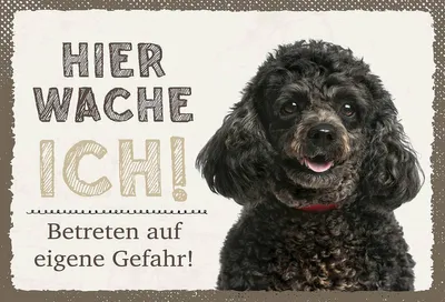 Produktbild von vianmo Holzschild 12x18 cm Pudel hier wache eigene Gefahr