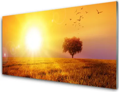 Produktbild von Acrylglasbilder 100x50 Wandbild Druck Sonne Wiese Landschaft