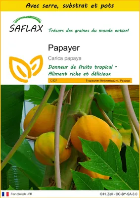 Image de SAFLAX Ensemble de culture - Papayer - 30 graines - Carica