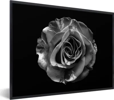 Produktbild von MuchoWow® Gerahmtes Poster Blumen - Rose - Schwarz - Weiß - Botanisch 80x60 cm - Poster mit Schwarzem Bilderrahmen Wandposter Rahmen Foto Bilder - Schwarzem - Mit Gestell