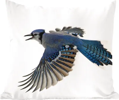 Produktbild von MuchoWow® Zierkissen Sofakissen Wohnzimmer Dekokissen 50x50 cm Vogel - Federn - Weiß - Komfort - Sofakissen