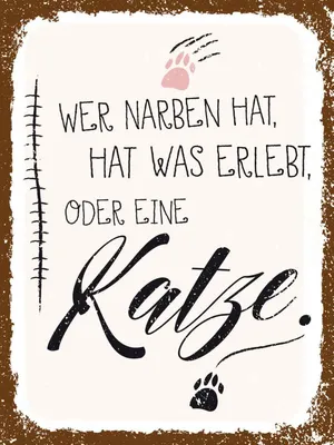 Produktbild von vianmo Holzschild 40x30 cm Katze Wer Narben hat was erlebt Tier Haustier