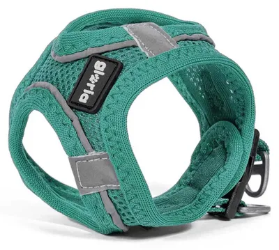 Imagen del producto de Arnés para perro Gloria Trek Star, color turquesa, tallas XXS (24-26 cm) y 28-28,6 cm
