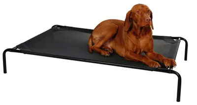 Produktbild von Hundebett Schwarz 130x80x20 cm Vacation - Hundeliege Schwarz