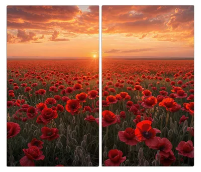 Produktbild von Spritzschutz Herdabdeckplatte Schneidebrett aus Glas Mohnfeld Sonnenuntergang 2-Teilig (60x52cm)