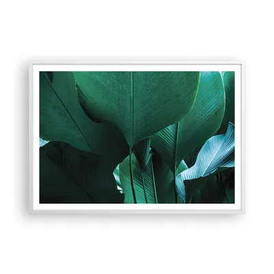 Produktbild von Gerahmtes Poster - Weißer Rahmen - Blätter Palmen Banane - 100x70 cm - Wand Bild - Wanddeko - Wandbilder - Kunstposter - Wandposter - Bilderrahmen - Bilder - Kunstdruck - P2WAA100x70-4694