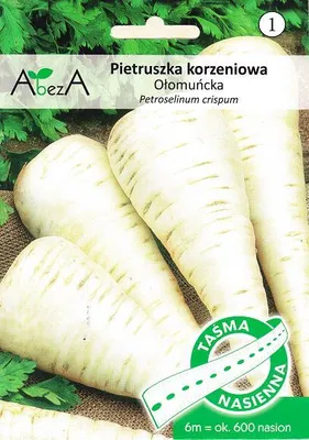 Produktbild von Petersilienwurzel Ołomuńske Samen Tape 600pcs - Torseed