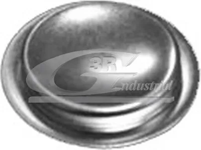 Produktbild von 3RG Stopfen Kipphebelwellen-Montagebohrung 84051 für FIAT PANDA (169) 51mm