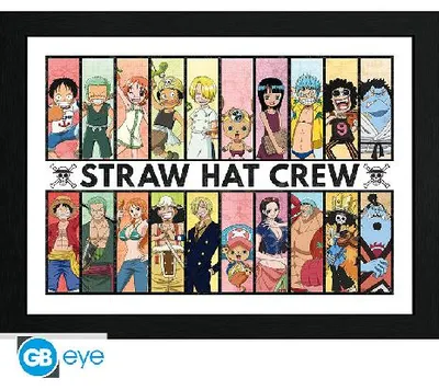 Zdjęcie produktu dla Plakat w ramie - ONE PIECE: Przeszłość i teraźniejszość (30x40)