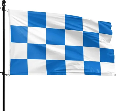 Imagen del producto de Bandera del municipio de Dalfsen, 90 x 150 cm, de poliéster, para asta de bandera