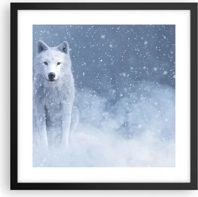 Produktbild von Gerahmtes Poster - Schwarzer Rahmen - Weiß Wolf Schnee - 40x40 cm - Wand Bild - Wanddeko - Wandbilder - Kunstposter - Wandposter - Bilderrahmen - Bilder - Kunstdruck - Wanddekoration - P2BAC40x40-5006