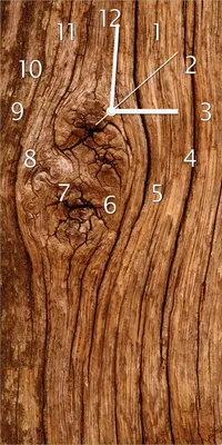 Produktbild von Wallario Design Wanduhr bedruckt, Größe 30 x 60 cm, Motiv: Holzstamm mit Asteinschluss