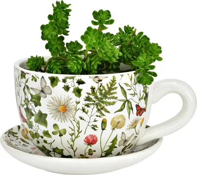 Image de Vase ou cache pot en forme de tasse fleur grasse