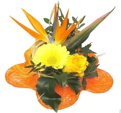 Produktbild von Blumenstrauß Exotic + Glasvase + Glückwunschkarte Blumenversand
