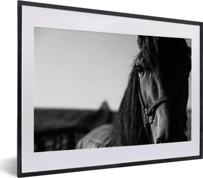Produktbild von MuchoWow® MuchoWow® Gerahmtes Poster Nahaufnahme eines Pferdes mit Halfter in schwarz-weiß 40x30 cm - Poster mit zchwarzem Bilderrahmen - Bilderrahmen - Poster im Rahmen