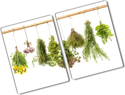 Produktbild von Tulup Glas Herdabdeckplatte - 2x40x52 cm - Glaskeramikkochfeld-Abdeckung Spritzschutz Glasabdeckplatte Kochplattenabdeckung und Schneidebrett - Zweiteilig - Essen & Getränke - Kräuter Schnur - Grün