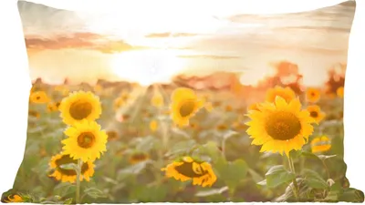 Produktbild von MuchoWow® Zierkissen Sofakissen Wohnzimmer Dekokissen 60x40 cm Sonnenblume - Sonne - Blumen - Kopfkissen - Polster mit Foto