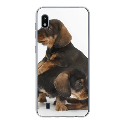 Produktbild von MuchoWow® Handyhülle Schutzhülle Hülle für Samsung Galaxy A10 Studiofoto von zwei süßen Dackeln Silikon Softcase Handy Hülle - Schutzhülle