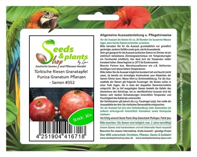 Zdjęcie produktu dla 30x Turecki Gigantyczny Granat Punica Granatum Rośliny - Nasiona #352