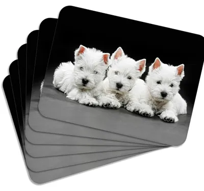 Produktbild von MG Design Set aus 6 Kork-Platzsets - Dog 1 - 30 x 40 cm - hitzebeständig & abwischbar, mit Korkrückseite