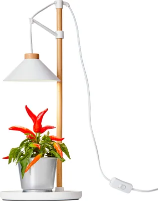 Produktbild von LED Pflanzenleuchte Kräutergarten aus Echtholz 9W 550 Lumen Höhenverstellbar Timer