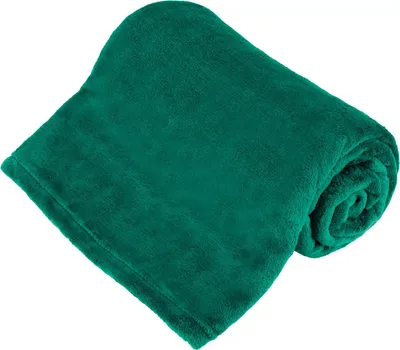 Obrázek produktu pro Teesa TSA8901 Deka mikroplyš 150 x 200 cm, zelená