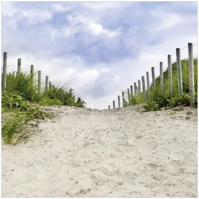 Produktbild von Wallario Premium Glasbild, freischwebende Optik, kräftige Farben, Größe 30 x 30 cm Motiv Auf dem Weg zum Strand durch Dünen