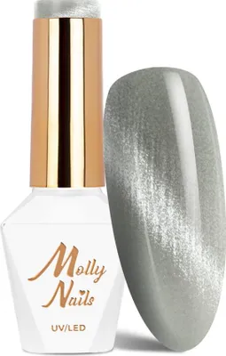 Image de Molly Nails Gel effet cristal Cat Eye n° 161 8 g
