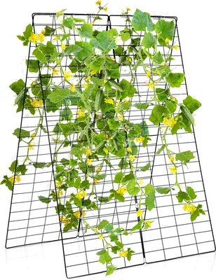 Produktbild von GOPLUS 2er Gurkenspaliere, Gartenspalier für Kletterpflanzen, Gemüse & Blumen, Stabiler A-förmiger Pflanzenträger mit komplettem Zubehörsatz, Robuste Pflanzenspaliere 128x86cm
