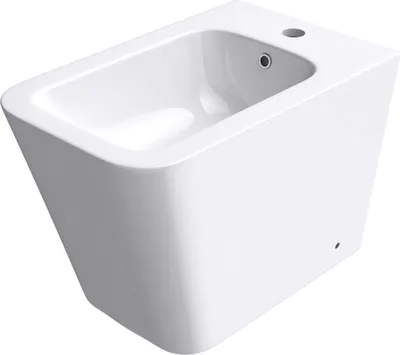 Image de doporro Bidet à poser Blanc Assorti au WC Bidet sur Pied en Céramique pour Salle de Bains 36x55x41cm S-Düren112