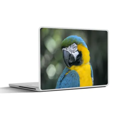 Produktbild von MuchoWow® Laptop Aufkleber Sticker Cover Vogel - Papagei - Blau 32.5x23.5 cm - Sticker für Laptop - Selbstklebend