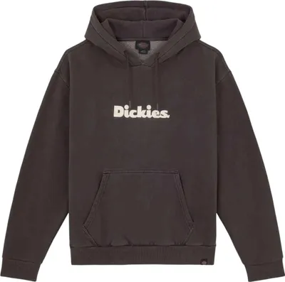 Image de Sweat à capuche Dickies DK0A87NBLK1 pour Homme