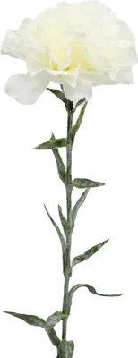Produktbild von Täuschend echte künstliche Nelke Weiß - Realistische Textilfaserblüten, langlebig & pflegeleicht - Perfekt für Vasen oder Arrangements - 64 cm