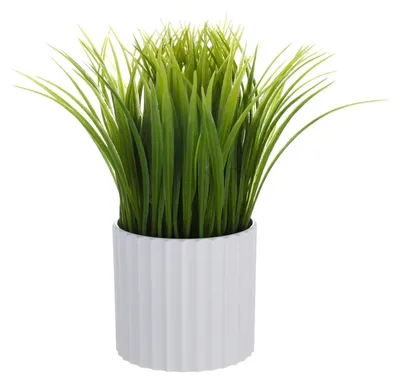 Zdjęcie produktu dla Sztuczna roślina w doniczce - 25,5 cm, dekoracja do wnętrz