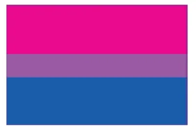Produktbild von Bisexual Flag Aufkleber / Sticker 5.0 x 7,6 cm (12er Pack)