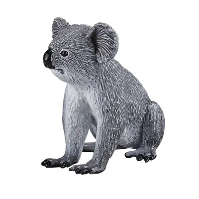 Image de Animal Planet Koala
