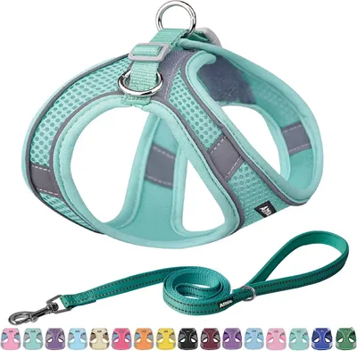 Produktbild von Slip-On Geschirr und Leine Set, für Kleine und Mittelgroße Hunde, Verstellbar, Weiches Mesh, Reflektierende