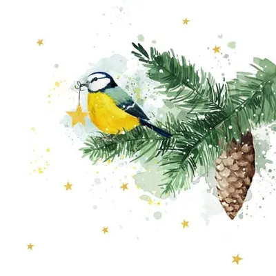 Produktbild von 20 Servietten Wintermeise - Meise mit Stern auf Zweig 33x33cm