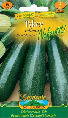 Obrázek produktu pro Tykev cuketa NEFERTITI, zelená