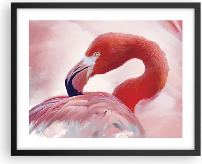 Produktbild von Gerahmtes Poster - Schwarzer Rahmen - Flamingo Vogel Porträt - 50x40 cm - Wand Bild - Wanddeko - Wandbilder - Kunstposter - Wandposter - Bilderrahmen - Bilder - Kunstdruck - P2BAA50x40-4984