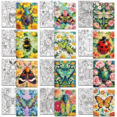 12er-Set vorgemalte Insekten-Leinwände 25x20 cm