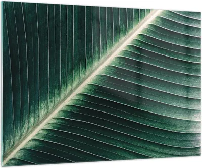 Produktbild von Bilder auf glas - Einteilig - Grün Blatt Tropisch - 100x70cm - Glasbilder - Wandbilder - Bilder - zum Aufhängen bereit - Wanddekoration aus Glas - Glas Bilder - Wandbild auf Glas - GAA100x70-4126