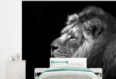Produktbild von MuchoWow® Fototapete für Wohnzimmer oder Schlafzimmer Wandtapete Vinyl Motivtapete Löwe vor schwarzem Hintergrund in schwarz und weiß - 275x220 cm - Gemustert