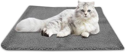 Image de Couvertures et tapis chauffants pour animaux, couverture douillette, panier chauffant pour chat