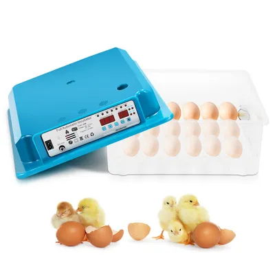 Obrázok produktu pre Yakimz inkubátor inkubátor s LED svetlo vajcia otáčanie systému + kontrola teploty plazov inkubátor inkubátor 35-36w 36 vajec zelená