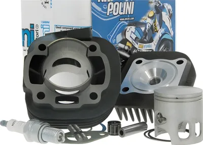 Immagine prodotto di Cilindro Polini, alesaggio 70 ccm, raffreddato ad aria, compatibile con Malaguti F12 50 AC