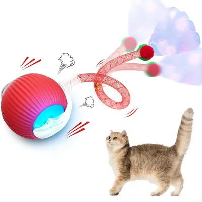 Interaktiver Katzen-Spielzeugball mit Vogelgeräuschen, 3 Modi, USB-ladbar